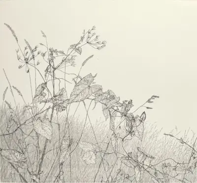 Ets, E.R. Homan – botanische voorstelling, 1992 – kavel bij Veilinghuis Klinkhamer, Groningen