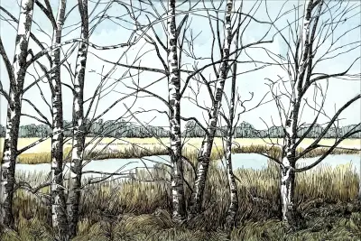 Pen/aquareltekening, Arie Goedhart – "Boerveense plassen", 2009 – kavel bij Veilinghuis Klinkhamer, Groningen