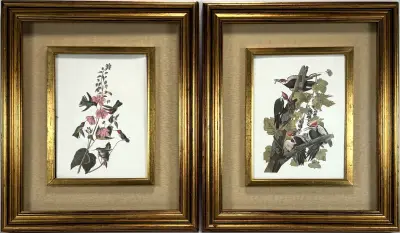 Prenten naar John James Audubon – "Columbian Humming Bird" en "Pileated Woodpecker", 20e eeuw – kavel bij Veilinghuis Klinkhamer, Groningen