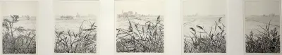 Etsen, Reinder Homan – polderlandschappen met riet, 1988–1992 – kavel bij Veilinghuis Klinkhamer, Groningen