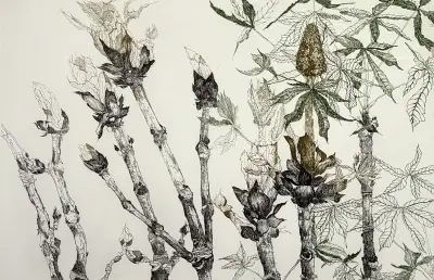 Druk, Heleen Wiemer – botanische compositie met takken en knoppen, 1977 – kavel bij Veilinghuis Klinkhamer, Groningen