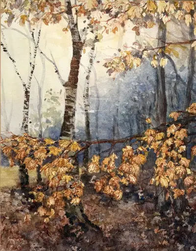 Aquarel, Marguérite Bogers – boslandschap met berken in herfstkleuren, 1987 – kavel bij Veilinghuis Klinkhamer, Groningen