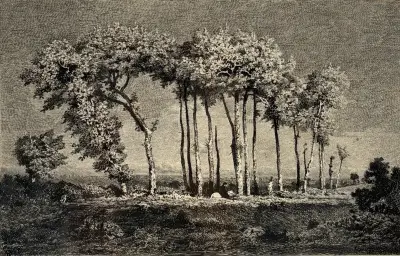 Heliogravure, Théodore Rousseau – "Le Soir", postume druk 1890 – kavel bij Veilinghuis Klinkhamer, Groningen