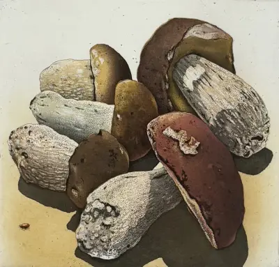 Grafiek – paddenstoelenstilleven, 1992 – kavel bij Veilinghuis Klinkhamer, Groningen