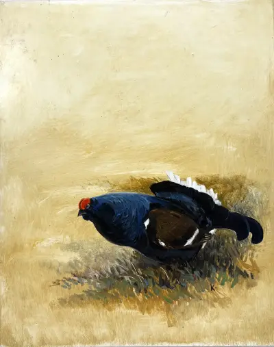 Olieverfschilderij, Kees Bos – "Korhaan - Holteberg", 20e eeuw – kavel bij Veilinghuis Klinkhamer, Groningen