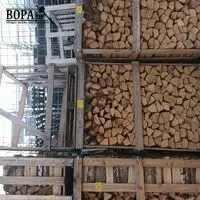 Houten kist met brandhout + lege kist – kavel bij BOPA Auctions, Houthulst