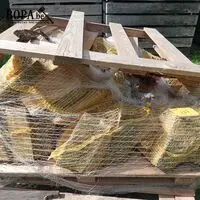 Pallet met zakken brandhout – kavel bij BOPA Auctions, Houthulst