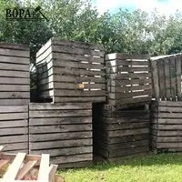 Lege houten kisten. 11 stuks – kavel bij BOPA Auctions, Houthulst