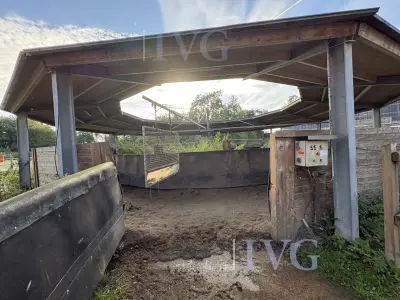 Loopband voor paarden – kavel bij IVG, Glandorf