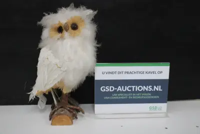 Decoratieve uil'' – kavel bij GSD Auctions, Zoeterwoude