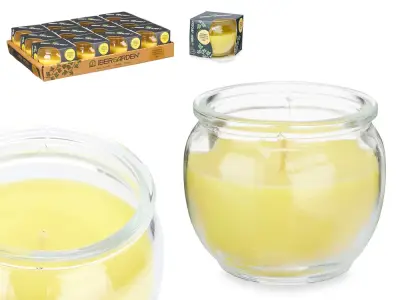 Citronella citronella geurkaarsen glazen pot – kavel bij GSD Auctions, Zoeterwoude