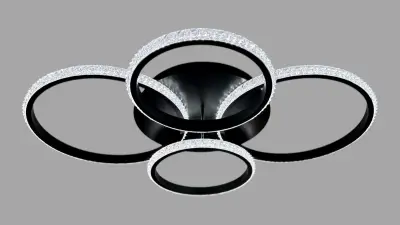 Led plafonlamp met 4 ringen 65/50cm mat zwart – kavel bij GSD Auctions, Zoeterwoude