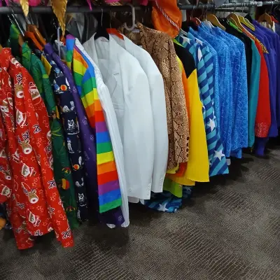 Ca. 37x Carnaval en feestpakken – kavel bij Onlineveilingmeester, Drachten