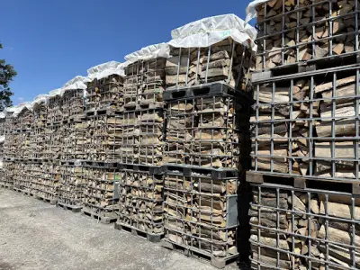 Haardhout mix Eik/Beuk/Es – kavel bij GSD Auctions, Zoeterwoude