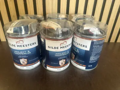 6x Gilde Meesters Project- & Trappenlak – Blank Hoogglans – kavel bij XL Auctions