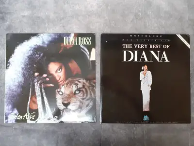 Vinyl: Duo van Diana Ross albums – kavel bij De Kringwinkel, Gent