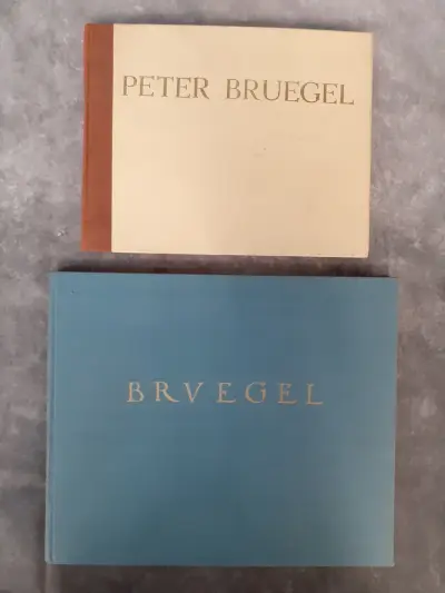 Boek: Duo van Pieter Breugel kunstboeken – kavel bij De Kringwinkel, Gent