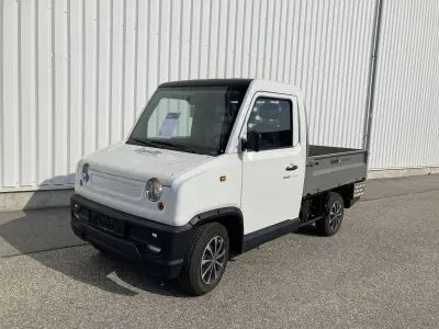 Graf Carello Elektrofahrzeuge E-TRANSPORTER TR100 – kavel bij AB Auction, Obertraubling
