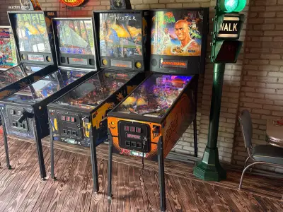 Flipperkast Sega Spacejam – kavel bij Auctim, Ysselsteyn