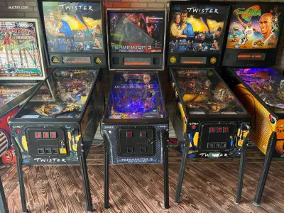 Flipperkast Stern Pinball Inc. Terminator – kavel bij Auctim, Ysselsteyn