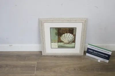 Ingelijste afbeelding van een schelp'' – kavel bij GSD Auctions, Zoeterwoude
