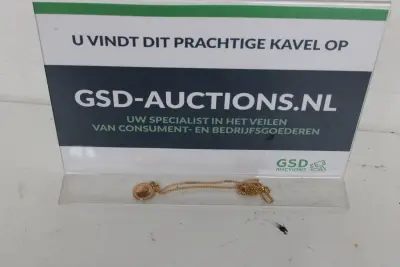 Goudkleurige ketting met een ronde medaillehanger – kavel bij GSD Auctions, Zoeterwoude