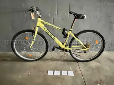 5 fietsen van verschillende fabrikanten in verschillende maten – kavel bij Zoll-Auktion, Lübeck