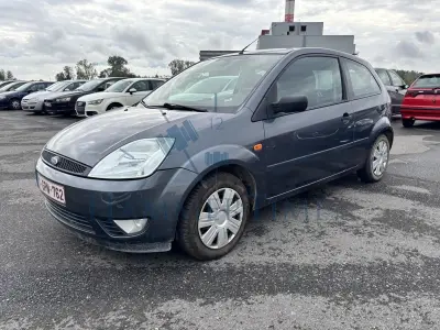 Ford Fiesta Van 1.4 Turbo Tdci, 2006 – kavel bij Hammertime