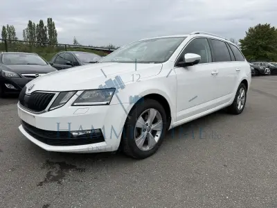 Skoda Octavia Sw Cng 1.5 Tgi G-Tec Ambition Dsg 130 At, 2021 – kavel bij Hammertime