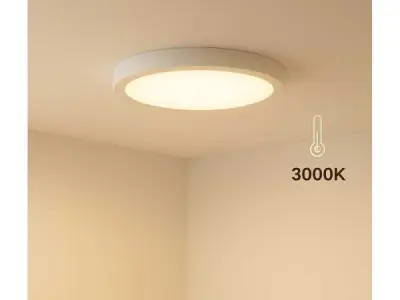 30x 30 x LED Paneel – Rond Opbouw – 30W – 3000K Warm Wit – IP20 – kavel bij XL Auctions
