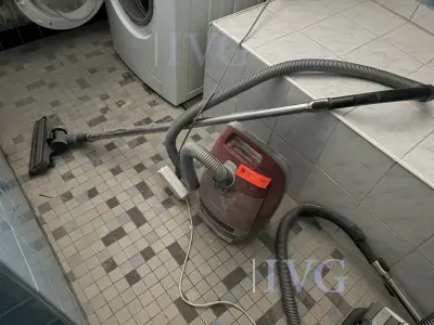 Stofzuiger MIELE – kavel bij IVG, Bad Salzuflen