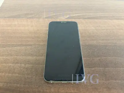 Smartphone APPLE iPhone – kavel bij IVG, Bad Salzuflen