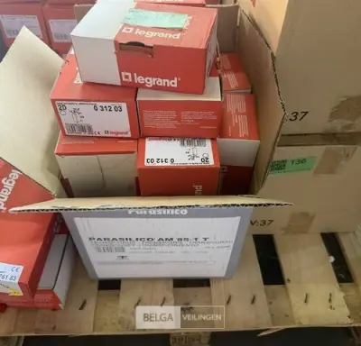 Einddeksel Legrand DLPlus (20 st/doos-24 dozen) – kavel bij Belga Veilingen, Peer