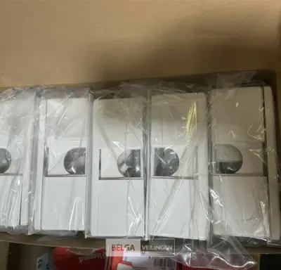 2-voudige opbouwbak Gira (5 st/doos-4 dozen) – kavel bij Belga Veilingen, Peer