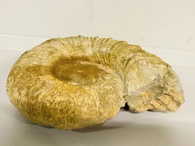 Verpakkingsmateriaal, partijhandel, computeronderdelen, natuurstenen en mineralen – veiling bij Onlineveilingmeester, Gramsbergen