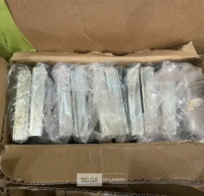 Kelderbandslot PC VERZ 60 mm (10x) – kavel bij Belga Veilingen, Peer