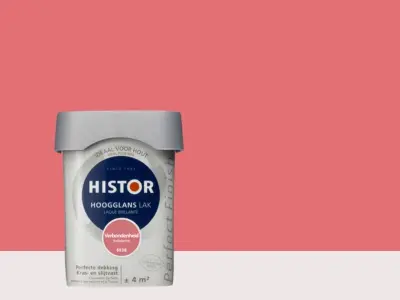 Ca. 20x Lak hoogglans Histor, perfect finish, verbondenheid, 250ml – kavel bij Onlineveilingmeester