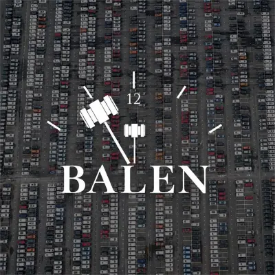 Overnamewagens: Balen (besloten Veiling!) – veiling bij Hammertime