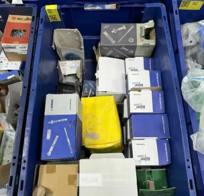 1 Bak diverse bouten + pluggen – kavel bij Belga Veilingen, Peer