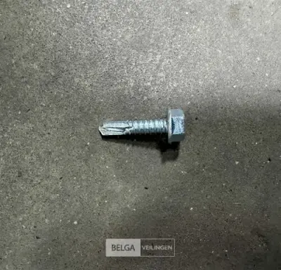 ± 2 Dozen zelfborende zeskantschroeven – kavel bij Belga Veilingen, Peer
