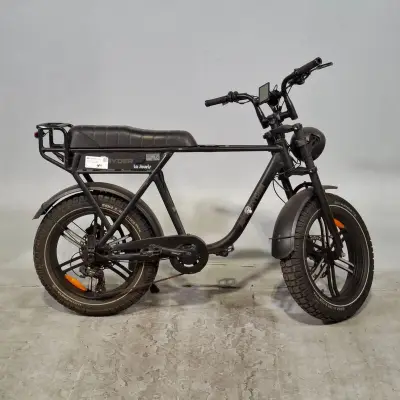 Fatbike, La Souris, Ape Ryder, 2024 – kavel bij Domeinen Roerende Zaken, Groningen