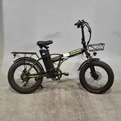 Fatbike, Jinghma – kavel bij Domeinen Roerende Zaken, Groningen