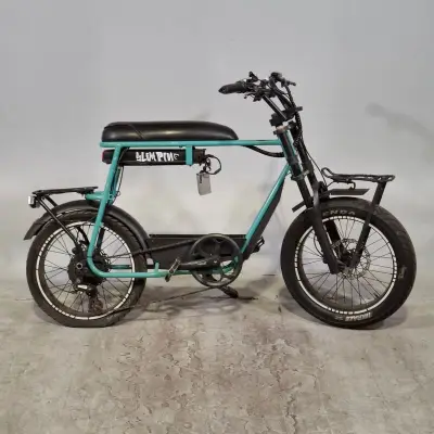 Fatbike, Phatfour – kavel bij Domeinen Roerende Zaken, Groningen