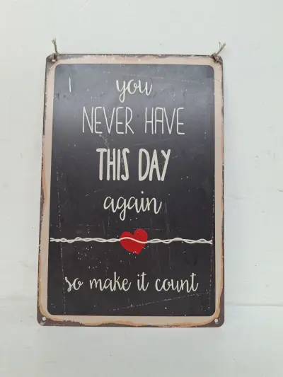 Metalen Wandbord – "You Never Have This Day Again" – kavel bij De Kringwinkel, Waardamme