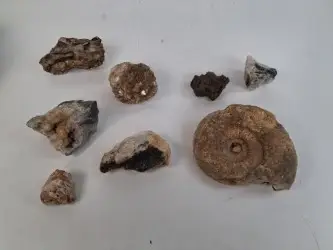 Stenen, mineralen en een fossiel – kavel bij De Kringwinkel, Waardamme