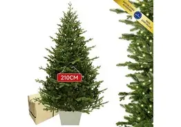 iGOOD Kunstkerstboom met verlichting (210 cm) – kavel bij Desvo Veilingen, Brugge X-Mas That Time Of The Year