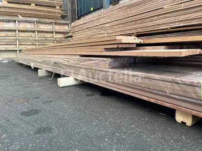 Hout - Meranti Nemezu – kavel bij Auctelia, Aubel