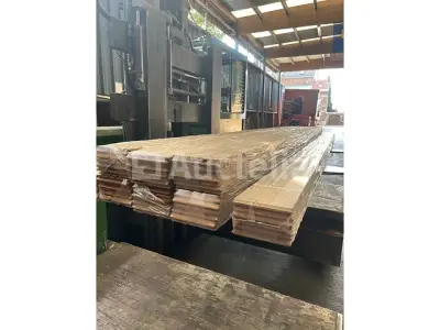 Auctelia: Hout thema verkoop – veiling bij Auctelia