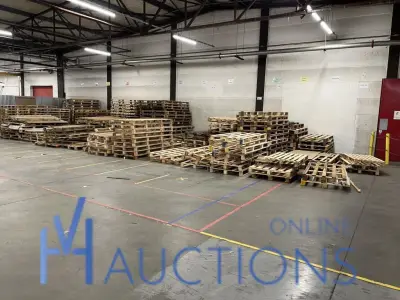 Partij wegwerppalletten – kavel bij VH Auctions