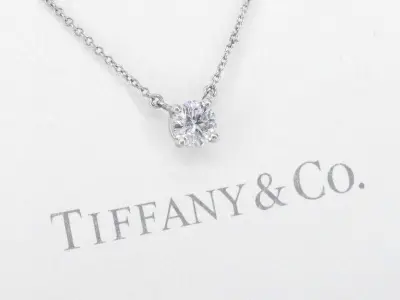 Tiffany & Co - Platina solitaire halscollier met een natuurlijke diamant – kavel bij Onlineveilingmeester